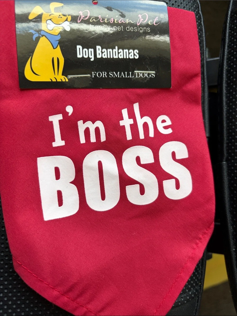 Source Unknown Yellow 'Love Florida' Dog Tank & Red 'I'm the Boss' Bandana Set